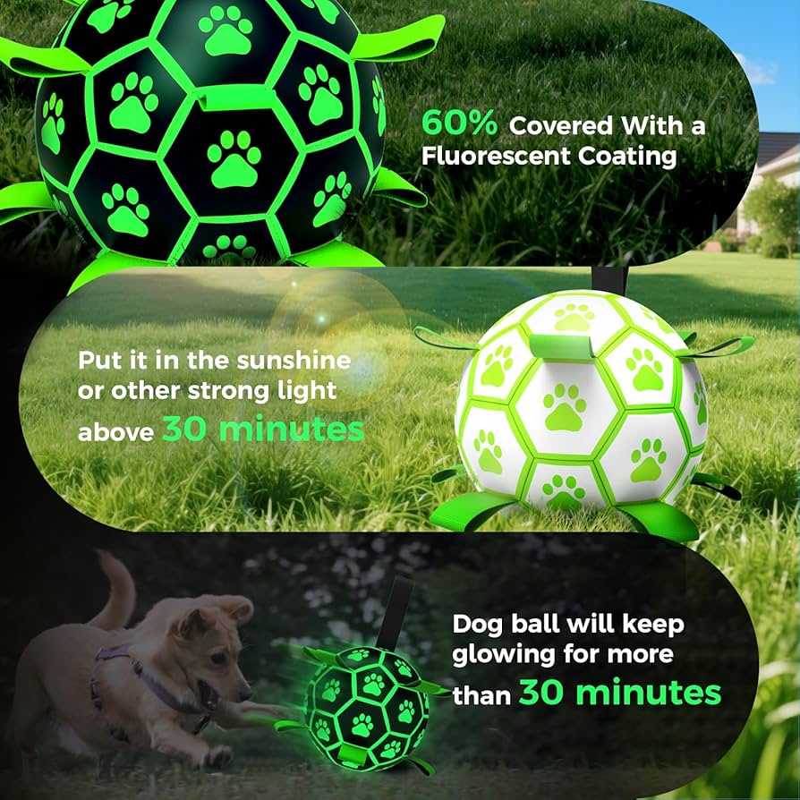 Midnight Fetcher 2.0 — Luminous Ball