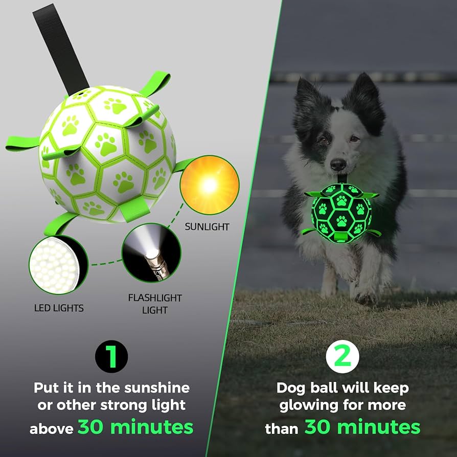 Midnight Fetcher 2.0 — Luminous Ball