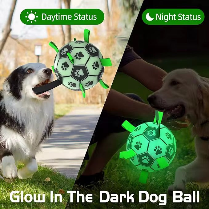 Midnight Fetcher 2.0 — Luminous Ball