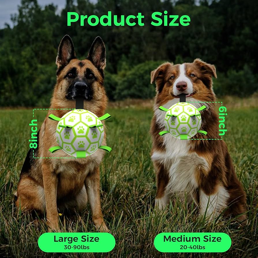 Midnight Fetcher 2.0 — Luminous Ball